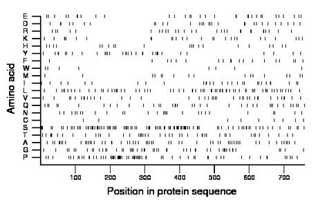 amino acid map