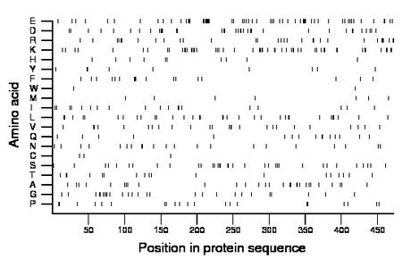 amino acid map