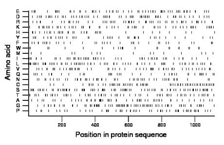 amino acid map