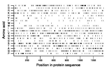 amino acid map