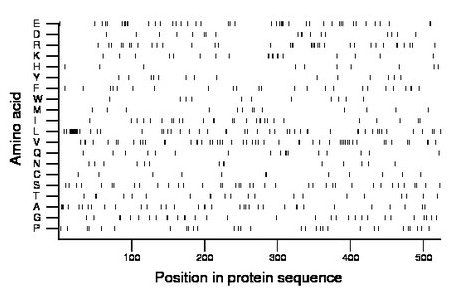 amino acid map