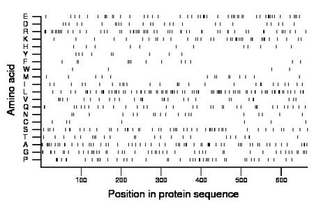 amino acid map