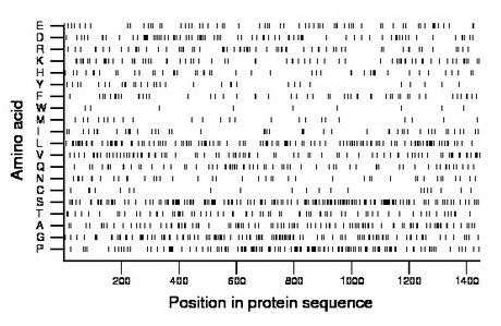 amino acid map