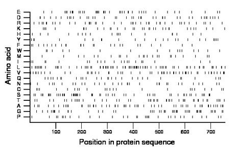 amino acid map