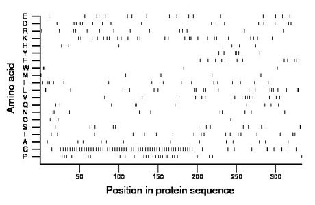 amino acid map