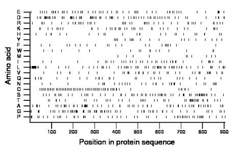 amino acid map