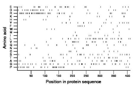 amino acid map