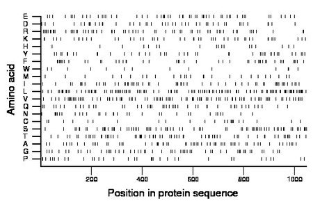 amino acid map