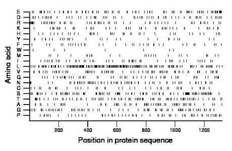 amino acid map