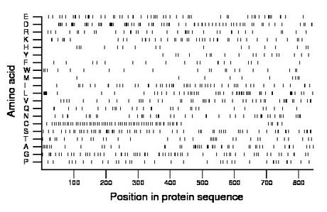 amino acid map