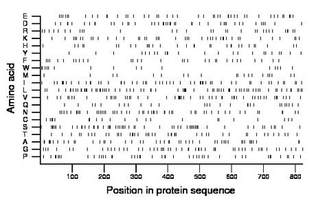 amino acid map