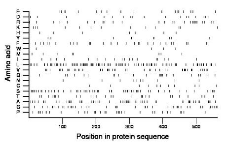 amino acid map