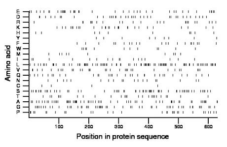 amino acid map