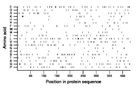 amino acid map