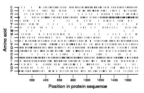 amino acid map