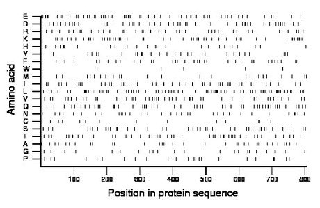 amino acid map