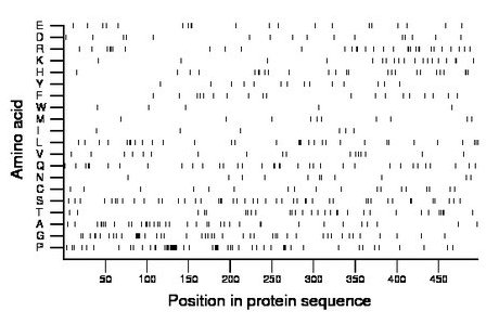 amino acid map