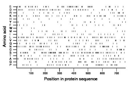 amino acid map