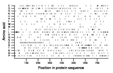 amino acid map