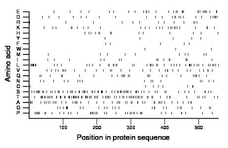 amino acid map