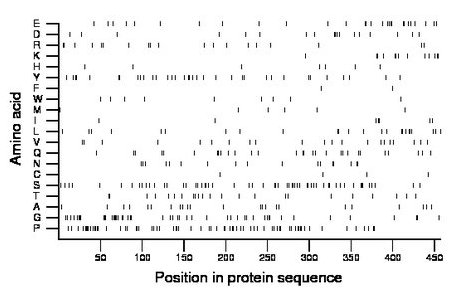 amino acid map