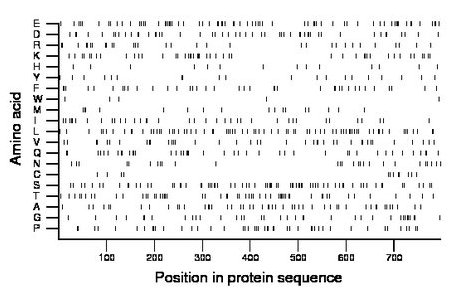 amino acid map