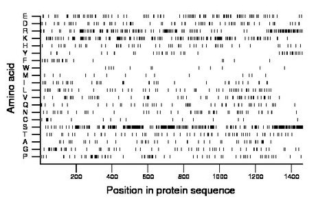 amino acid map