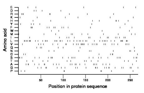 amino acid map