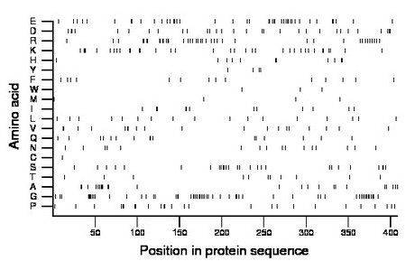 amino acid map