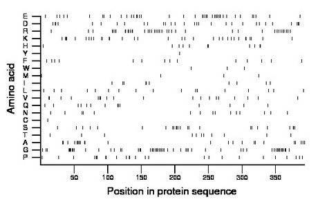 amino acid map