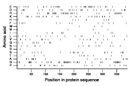 amino acid map