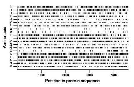 amino acid map