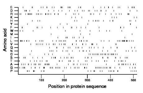 amino acid map