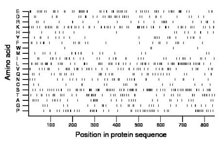 amino acid map