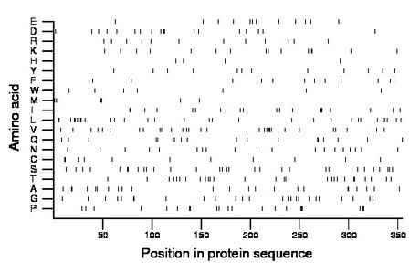 amino acid map