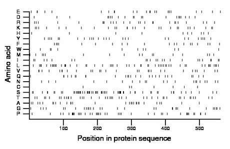 amino acid map