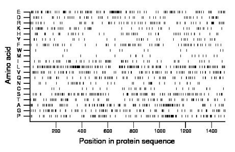 amino acid map