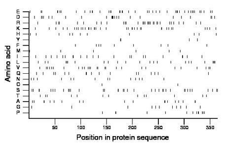 amino acid map