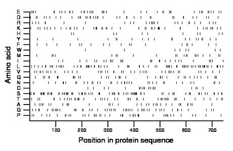 amino acid map