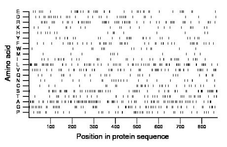 amino acid map