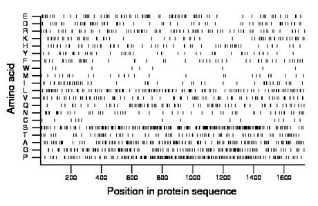 amino acid map