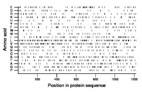 amino acid map