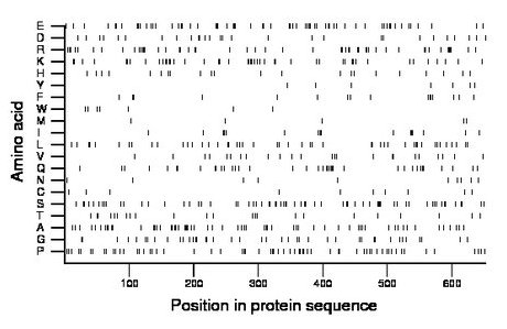 amino acid map