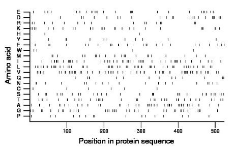 amino acid map