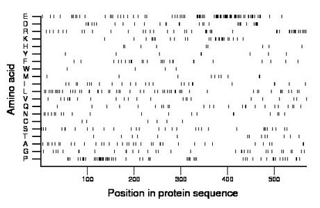 amino acid map