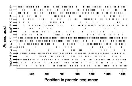 amino acid map