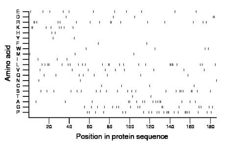 amino acid map