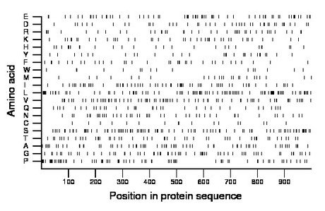 amino acid map