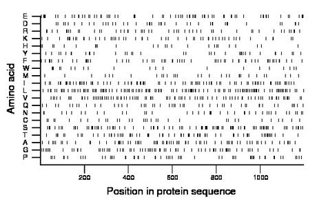 amino acid map