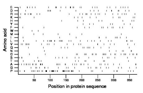 amino acid map